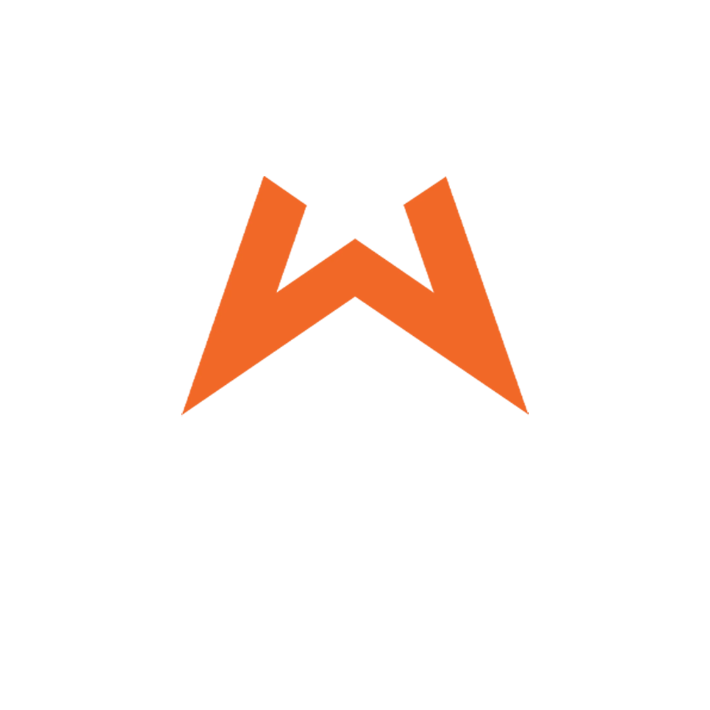 Wasserman Agency